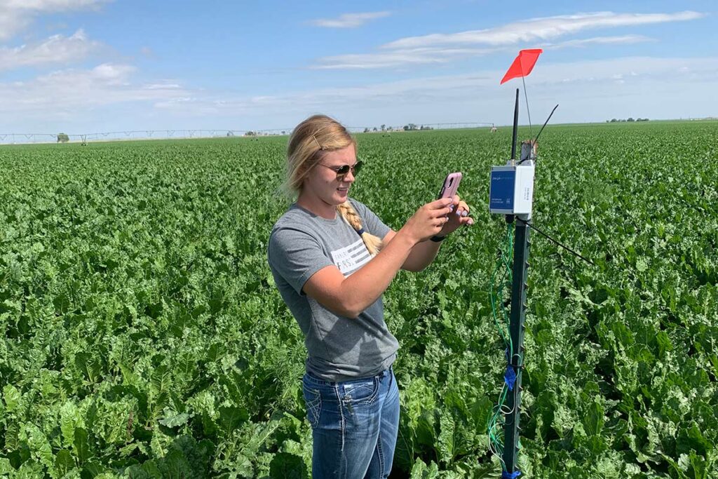 Field and moisture monitoring by BD Ag Enterprises